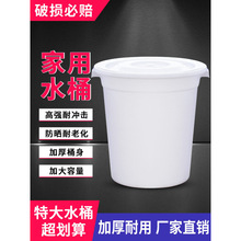 带盖水桶塑料桶加厚耐用大家用储水盖大号特大容量经济型圆形大桶