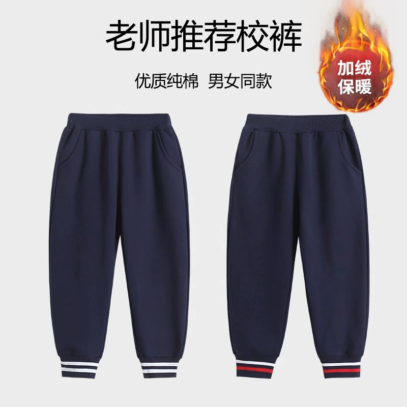 Детская школьная форма брюки зимний бархат темно-синий двухполосный