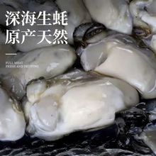 生蚝肉批发鲜活海鲜当日现剥新鲜海蛎子烧烤蚝牡蛎250g汫洲发货