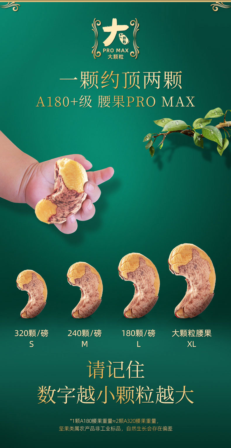 大颗粒紫衣腰果500g-详情页-8-24-产地为越南柬埔寨_