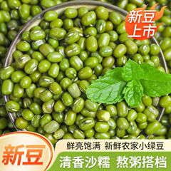 代发东北农家绿豆真空装绿豆粥解暑发豆芽新货五谷杂粮绿豆批发