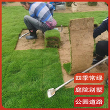 һ�����l���������ƺ�R�����ļ��������Ĵ��~��̨�����ͺ����X��