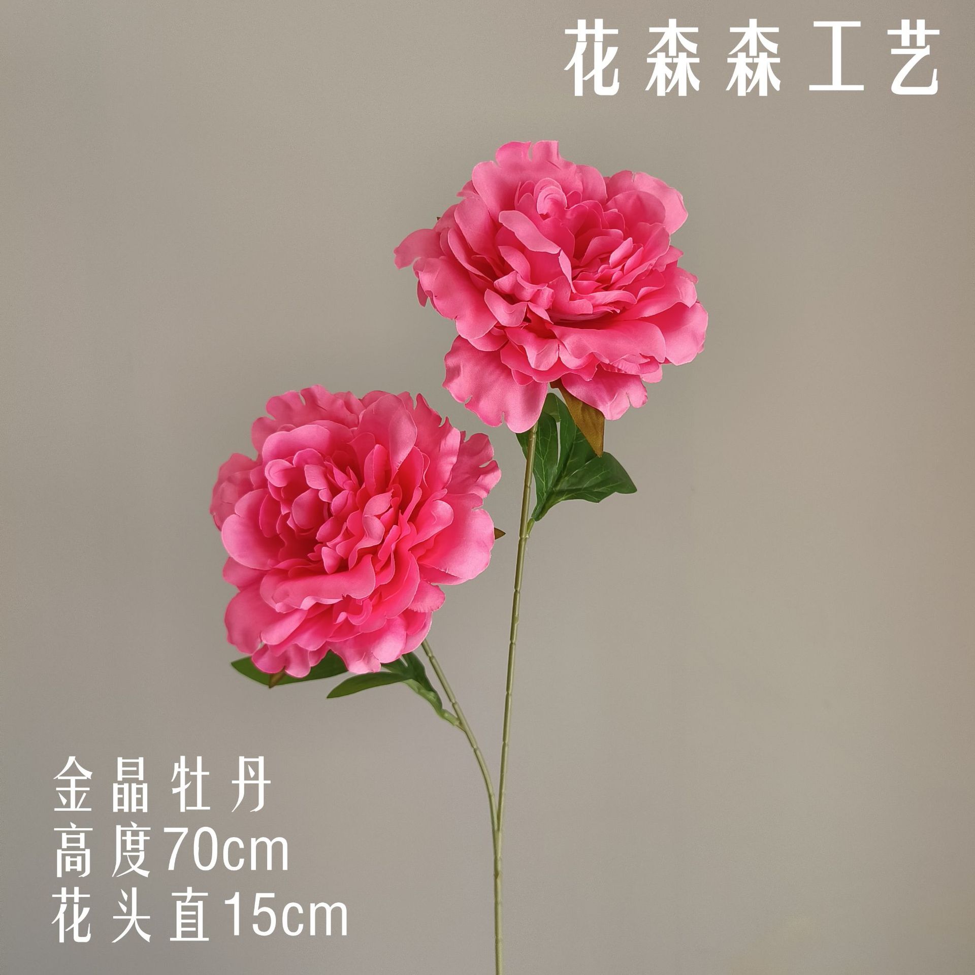 진징 모란 105551