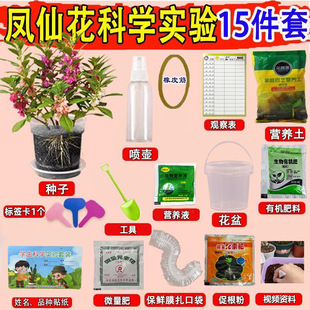 ��ͯ�Nֲ���P�ɻ��N�ѡ�����Ͱ���꼉�ƌW����ײ͌W��С���ԷN��