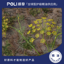 ӡ���M���P�}�Ѿ���ԭҺ �η�����ԭ�����l �H���M���P�}�Ѿ���