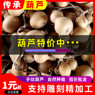 �غ��J�F؛���l 5-6������ͨ�غ��J �����غ��J�ɵ�̈D��