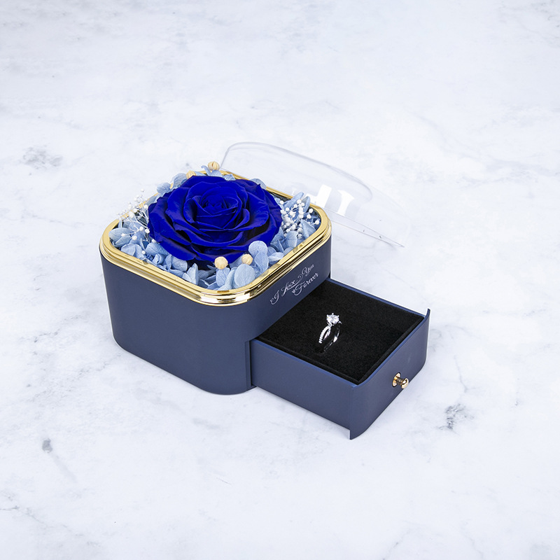 파란색; 목걸이 없음