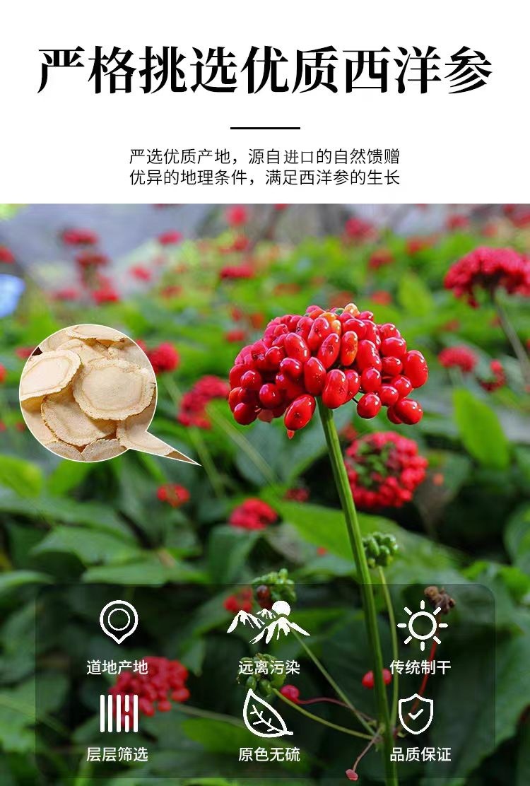 Canadian American Ginseng Slices (Panax quinquefolius) — 500g Dried Hua Qi Shen Root Slices overview