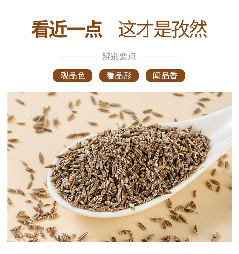 Cumin Seeds (Cuminum cyminum) — Xinjiang Whole Cumin for BBQ & Spice Blends quality and texture