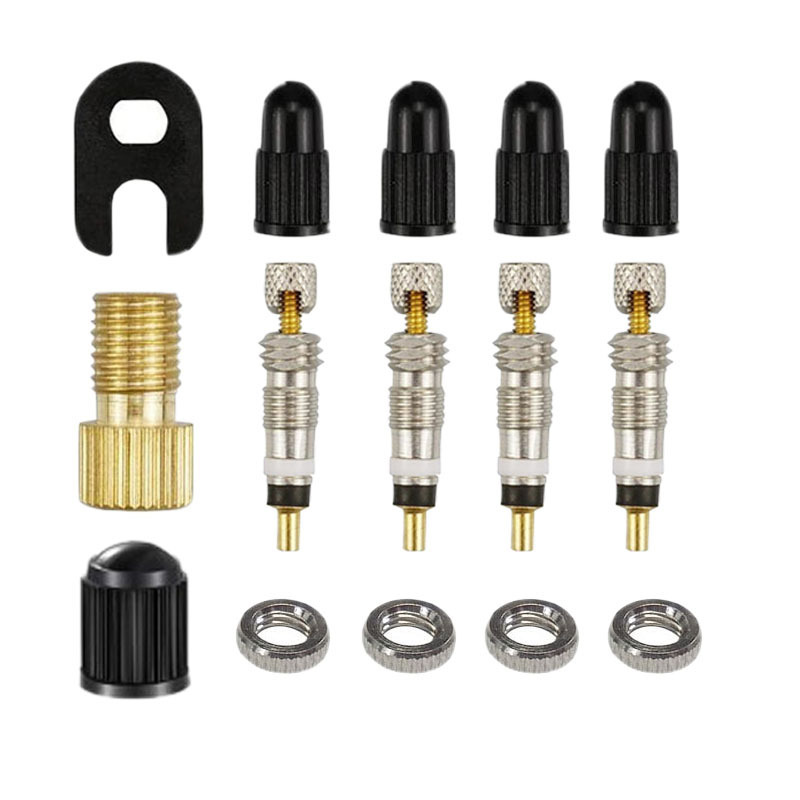 15 피스 프랑스 밸브 코어 세트