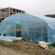 ȫ״Ǽ䓹߲˷N˱طNֲҼݮEA