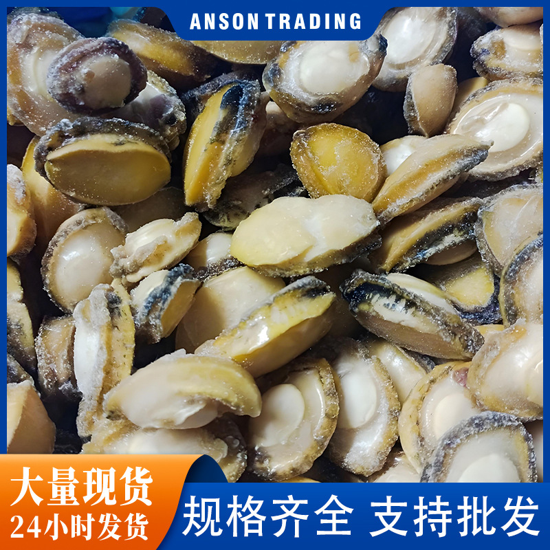 鲍鱼鲜活批发鲍鱼冷冻品商用鲍鱼肉带壳活冻鲍鱼批发新鲜海鲜贝类