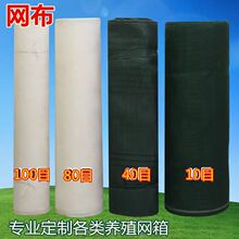 10目网布40目80目100目泥鳅水蛭青蛙育苗水产养殖网箱渔网防逃网