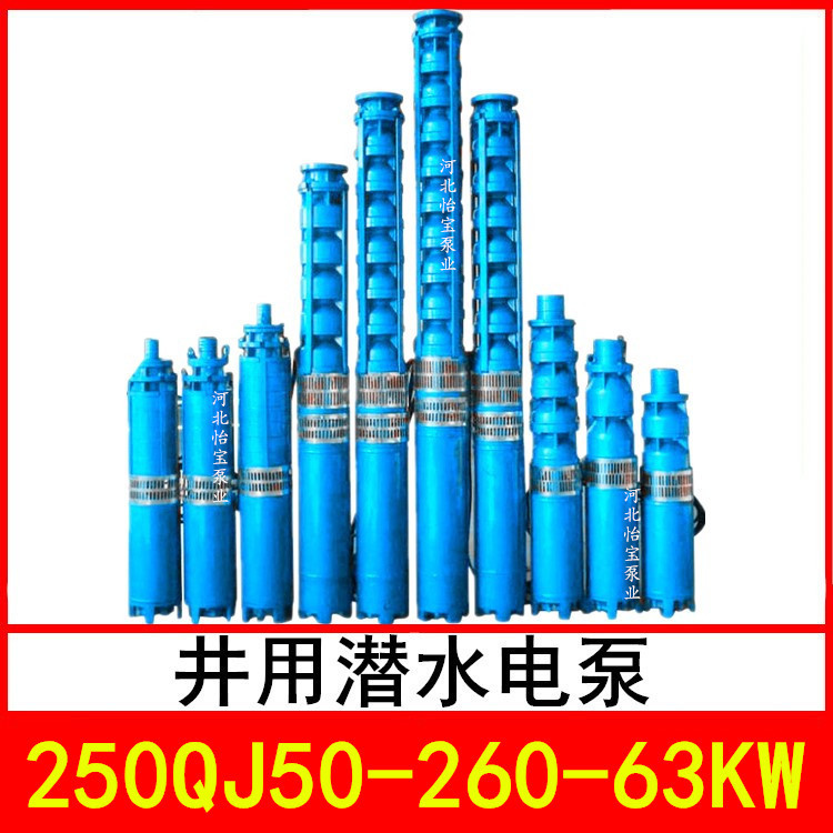 250QJ50-260/13 井用潜水电泵 深井泵 QJR热水泵 立式多级泵