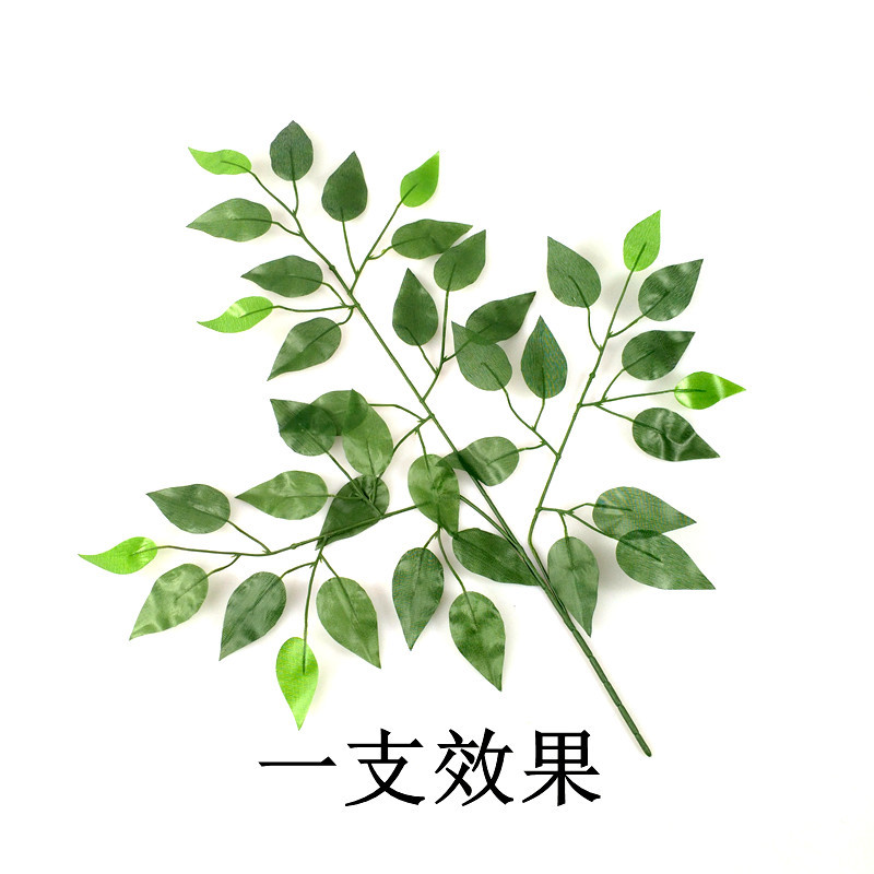 详情6.jpg