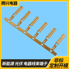 �S��ֱ�N����~�ܶ����p�T 1.7�A�ܶ���ע�ܹܠ����1.8�~�ܶ���