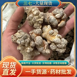 其他药食同源;代用/养生茶;天麻