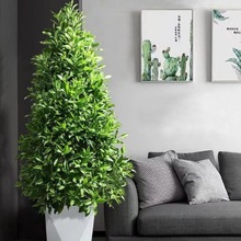 �����������ԾƵ������҃ȴ����ļ�����ֲ������ȩ���]�Gֲ�辰