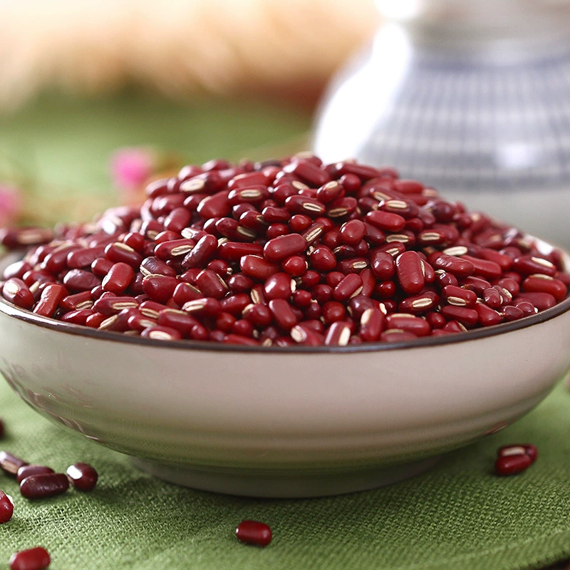 Фермер производит красную фасоль, цельные зерна