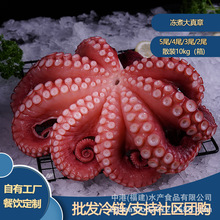 整只章鱼花大八爪鱼寿司特大冰冻熟冻大章鱼八爪鱼刺身章鱼腿
