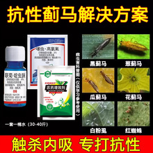 �����E�R���xș��ݮ�����S�������㶹��â����ջ����rș���x��