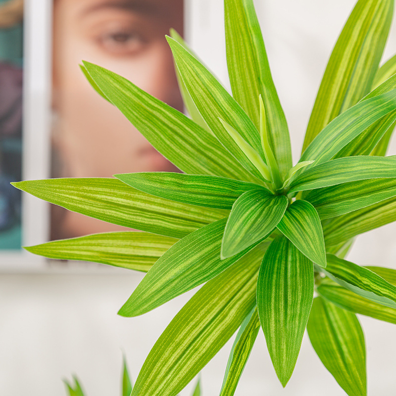 Comercio exterior nueva planta de simulación lirio de bambú en maceta gran piso árbol de simulación hogar decoración de interiores lirio de bambú