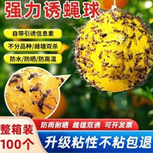 ����ω���Tω��ω�T����ωᘷ�ճ�x����ᘷ���Ϲ������T�x�����l