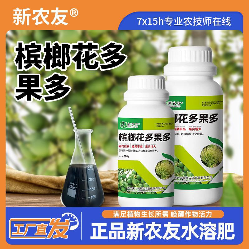 【槟榔花多果多】催花授粉挂果率高果实增大为槟榔提供全营养