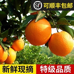 �����M��Ě���������r����ˮ����Ƥ���Ӵ���Fժ�ͶY������S���]