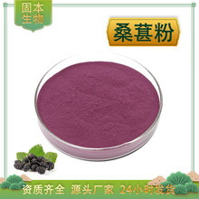 桑葚粉水溶桑葚果粉桑葚花青素桑葚提取物桑葚浓缩汁粉厂家现货