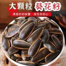 大颗粒瓜子焦糖核桃五香脱皮散装整箱内蒙葵瓜子传统炒货组合套餐