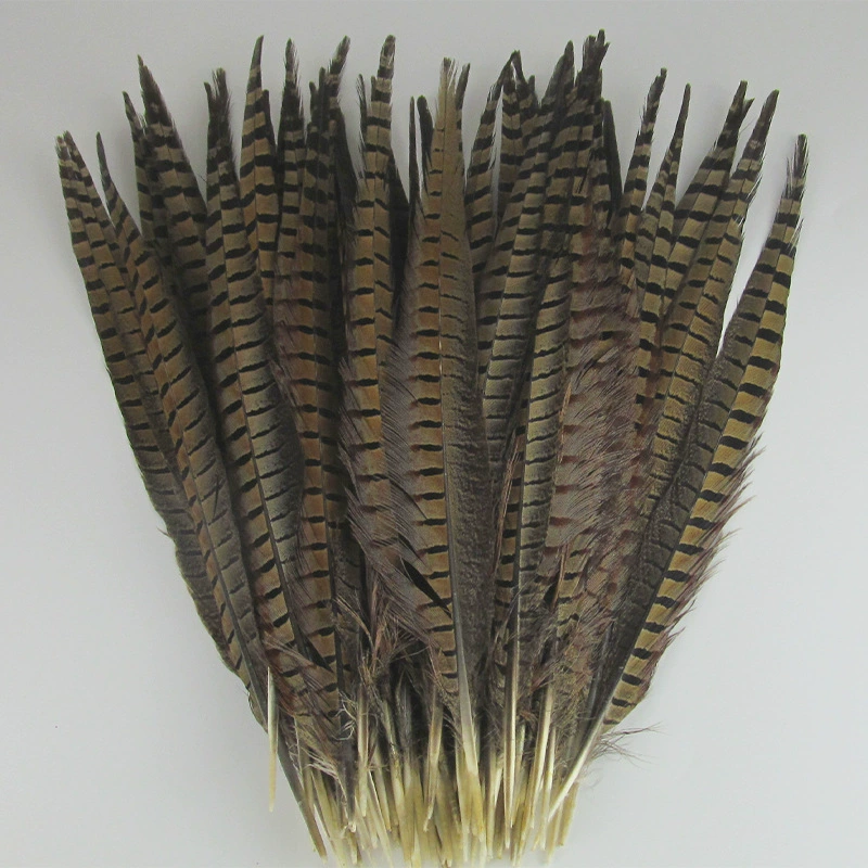 [Premium quality DIY public jiaohu? feather]