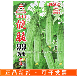 �������n��99�S���s���N����߮a��������O���������S������S��