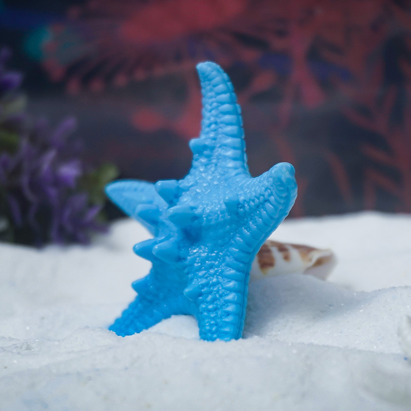 Estrella de mar de gran venta, pecera de coral real, paisajismo, observación, peces, compañeros de pescado y camarones, paquete pequeño en stock