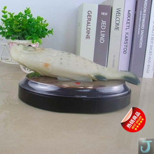 ��������~���携�����늄ӷ����������͌��ͯ