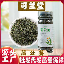 蒲公英茶50克罐装浦公英根长白山叶茶婆婆丁茶蒲公英果茶花茶