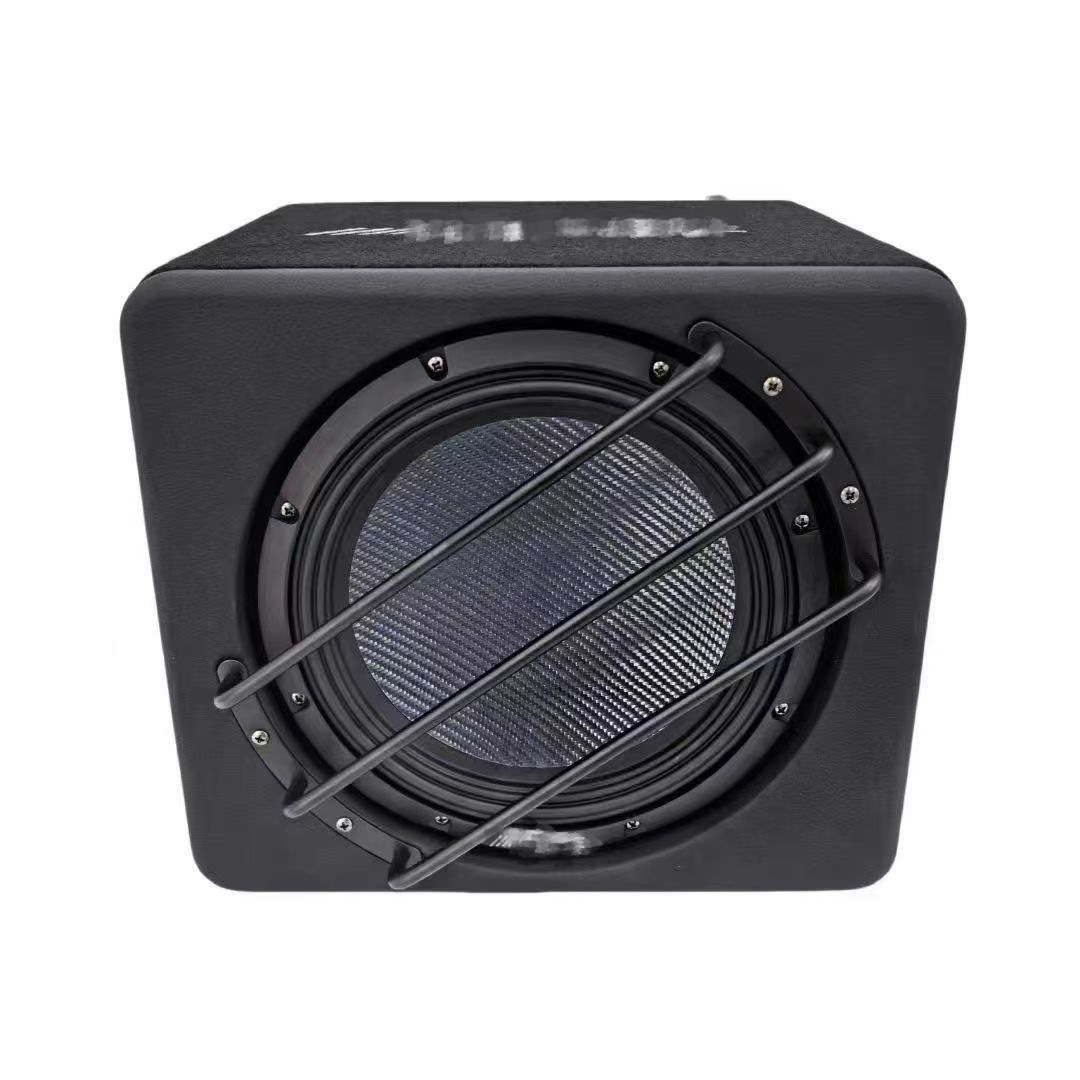 Japan Ev-100Sw3T Woofer 10inch Active Dual Voice Coil Subwoofer High Power Street Box Cannon
