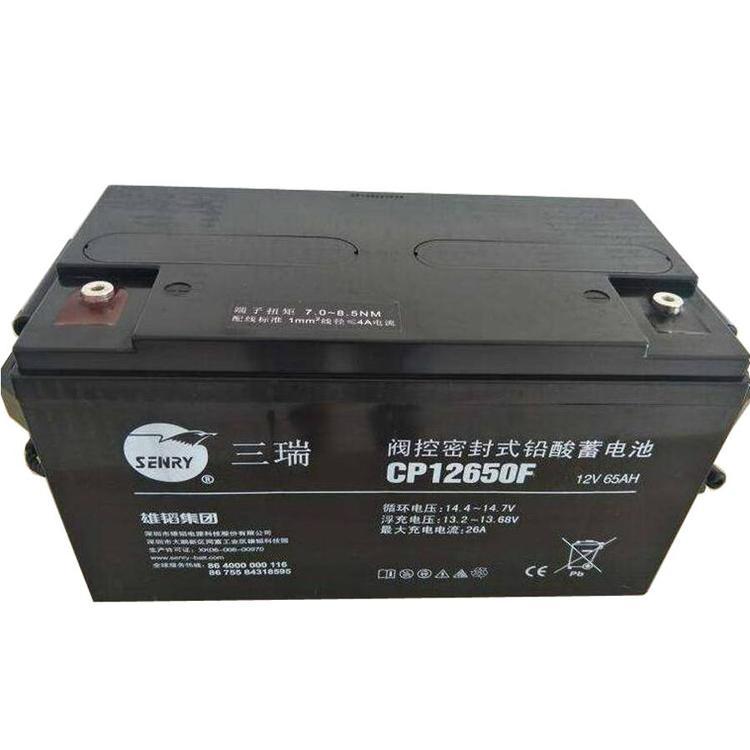 三瑞SENRY蓄电池6FM65-X 12V65AH阀控密封式铅酸蓄电池 UPS蓄电池