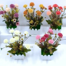 ������ɫ7�^�ͮ�С�����辰 �ٻ��ѹ�Ӣ�͏d�b��滨���Է��滨