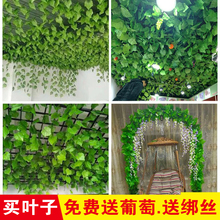 ���������~�ٗl��픘��~�b��پGֲ��ٻ��������Ϲܵ��p�@�G�~