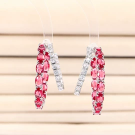 耳钉;耳环;项链