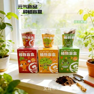 ��ͯ�Y��ֲ��ä��С�W���Y��diy�NֲС���Ԅ�����������Gֲ����