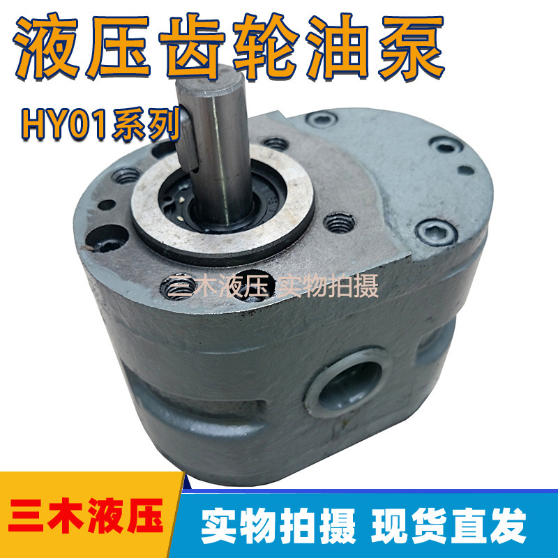 HY01 Full Range of Gear Pump HY01-3*5/5*10/8*15/18*25/25*25/50*25/100*25