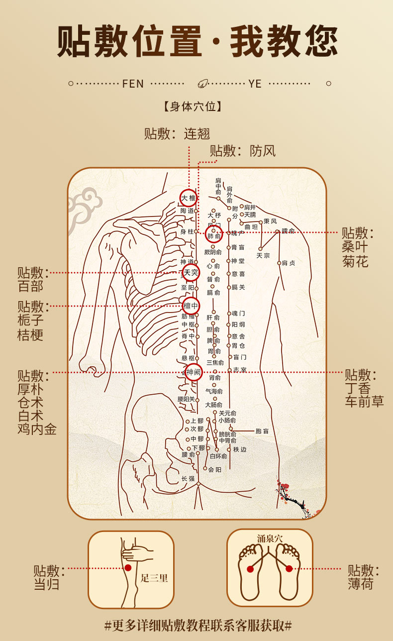 Chrysanthemum Herbal Powder Patch Navel and Acupoint Wellness Pack 8cm x 8cm External Use specifications