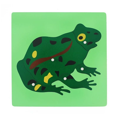 Brainteaser Montessori, teaching aids, professional smart toy