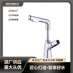 跨境厂家直销升降抽拉式洗脸盆水龙头冷热两用二合一卫生间洗手面