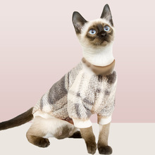 ���_؈�·�С؈�����·����춬����������ů�q�����_ë��؈؈