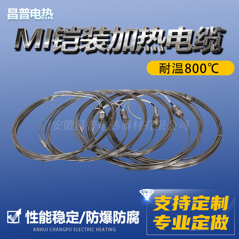 Changpu Manufacturer Mineral Insulated MI Heating Cable 316 Armored Stainless Steel Heat Tracing Bel