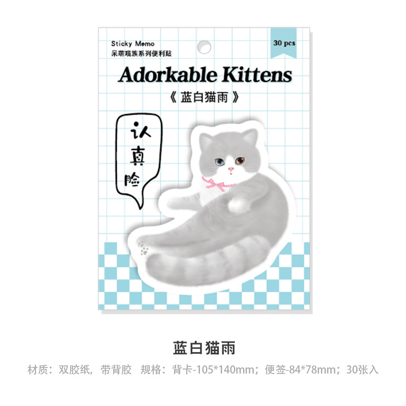 파란색과 흰색 고양이 비