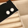 Small earrings, silver 925 sample, 2023 collection
